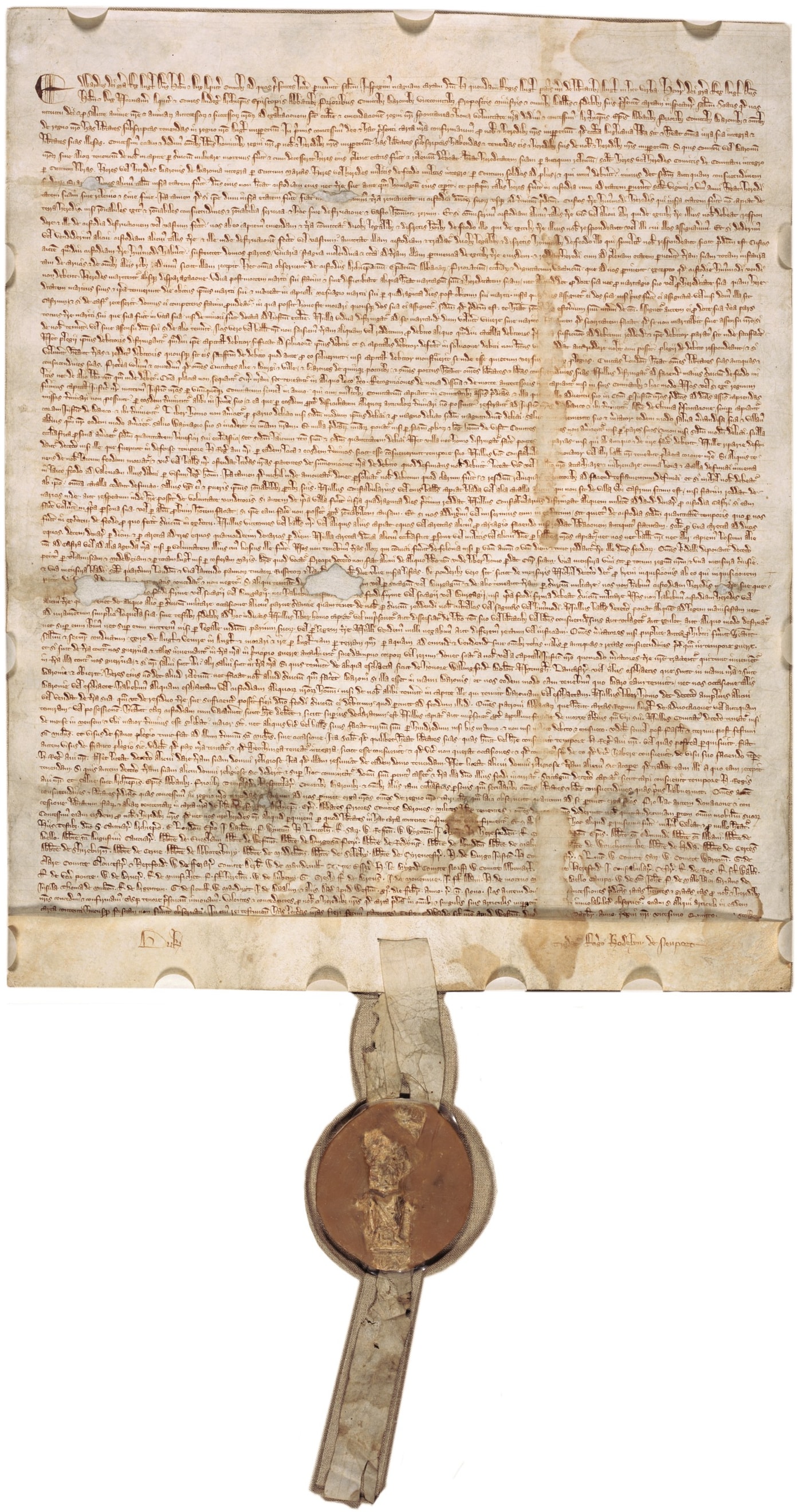 magna carta trust seal